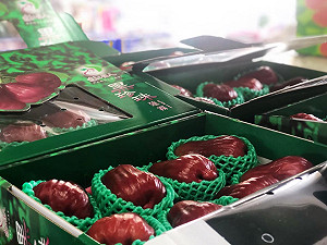 不只鳳梨曝險 台5外銷農產品依賴中國市場超過9成