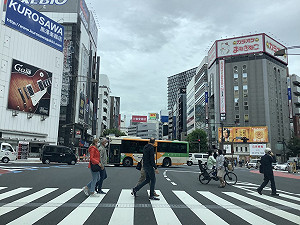 專論》連結中國移民的《虛擬中國》的出現