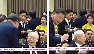 習近平敬酒 他竟坐著不理! 網傳習訪越受奇恥大辱 蔡奇趁機給王毅「穿小鞋」