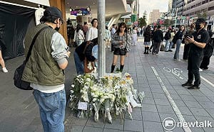 如果當下開車撞死張文會怎樣？律師點出難題　提自主防制暴力侵害權利