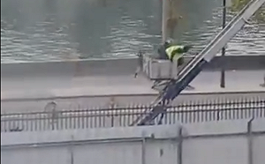 (影) 羅浮宮竊案最新拍攝畫面曝光  竊賊乘升降機「慢動作」逃逸