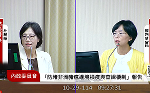 非洲豬瘟》農業部答詢遭質疑避重就輕 蘇巧慧怒斥「我問不下去了」