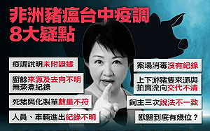 管仁健觀點》盧秀燕團隊為何蠢到死了幾頭豬都算不清？