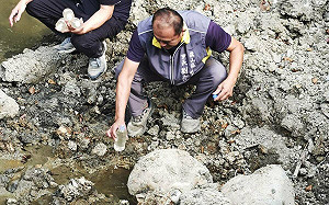 環境部兩度赴馬頭山考察不帶採樣器材  陳菁徽轟：裝瞎到這種程度