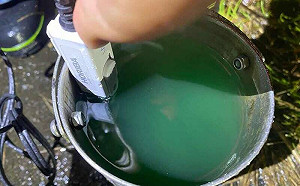 宜蘭三星農田水變深綠色！竟是「誤倒食用色素」進水溝導致