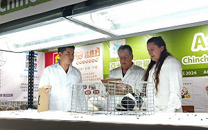 奴才們集合囉！台中寵物展毛孩嘉年華 龍貓比賽同步登場