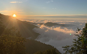 曾遭大雨沖毀！觀霧國家森林遊樂區2步道11月重新開放