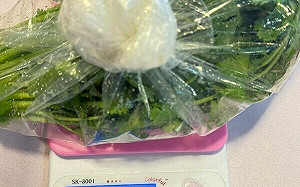 北市生鮮抽驗結果！內湖知名餐廳   香菜檢出10項農藥殘留    