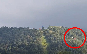 (影)空中驚險！埔里飛行傘相撞墜林  2傘友掛樹脫困疑誤判路線釀禍