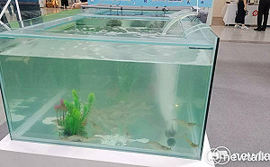 中國新病毒會「蝦傳人」害失明？醫喊話：已有成熟療法勿恐慌