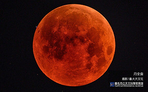 2026年天文盛事！3月「血月」奇景最吸睛　雙流星雨皆上看百顆