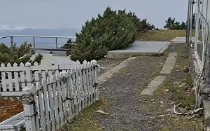 (影)玉山下初雪！中午大雪紛飛30分鐘 「雪花飄落」畫面曝光