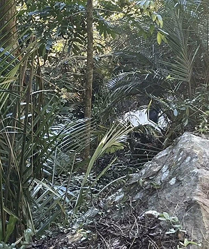 南投草屯墜谷小貨車內驚見乾屍　疑國姓鄉失聯男子