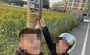 彰化14歲國中生借3萬遭地下錢莊逼債！「借錢獎狀」貼電線桿引熱議