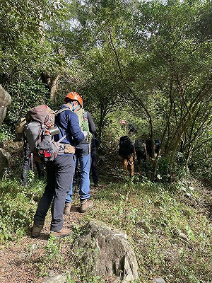 屏東5人疑誤食大花曼陀羅獲救　登山未投保擬開罰