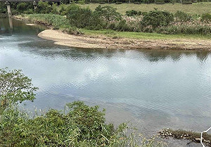 基隆河油污再現！台水全面停止取水 緊急調度可維持約10日供水