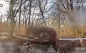 (影) 烏軍積極反擊 重奪伊萬諾夫卡! 德專家警告：俄恐2028攻「這國」.....