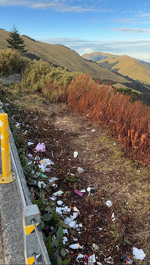 誇張！武嶺邊坡遭丟遍地垃圾 網怒：超沒公德心
