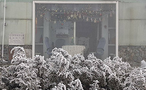 懶人包》追雪族注意！5高山染成夢幻銀白世界 全台雪況一次看