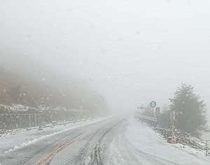 合歡山清晨降瑞雪 追雪人潮湧入翠峰車龍逾2公里