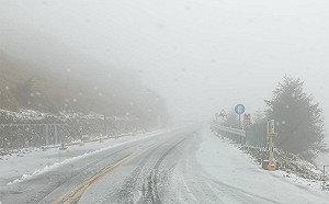 合歡山清晨降瑞雪　追雪人潮湧入翠峰車龍逾2公里