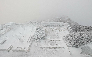 玉山積雪1.5公分！主峰雲霧繚繞如仙境 夢幻畫面曝光
