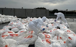 彰化又爆H5N1亞型高病原性禽流感  撲殺2.7萬隻蛋雞