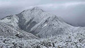 雪霸成銀白世界　高山積雪逾20公分