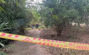 跨年命案！女子陳屍花蓮山區公墓  涉案男友是鄉代兒