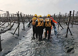 彰化福寶濕地驚見男屍吊掛蚵棚   通報失蹤40多歲男子明顯死亡