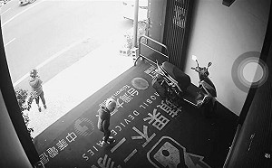 台南2童摘金桔亂丟踩爆！店員PO監視畫面   引發網友熱議