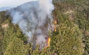 雲林草嶺村火燒山持續延燒 今出動直升機空中灑水搶救