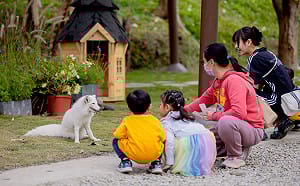 高雄內門「野森動物學校」1/17起試營運    官網完成預約購票方可入園