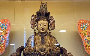 罕見景象！保育類「領角鴞」停棲媽祖頭冠  廟方：有靈性