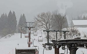 台灣遊客日本滑雪場出事！6人滑雪迷路受困今晨獲救