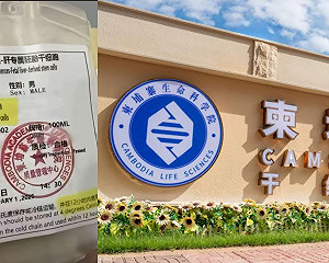 柬埔寨器官黑市升級！假體檢強餵藥45天 蒙面反詐博主：15歲少年遭拆解轉賣