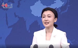 國共兩黨智庫論壇是否觸及鄭習會安排？國台辦未正面回應