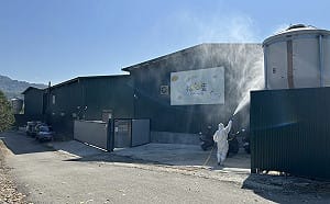 豐原1700隻蛋雞暴斃  盧秀燕:全面撲殺案雞隻   追蹤蛋下架