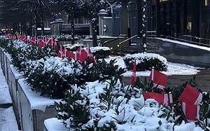 川普日前才失言！格陵蘭衝突還未了 美使館又強拆戰爭悼念旗 丹麥整個怒了.....