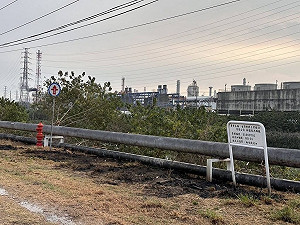 高雄男抓綠鬣蜥誤觸電線 身體燒傷送醫