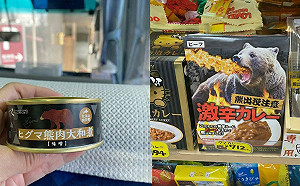 赴買熊肉罐頭小心惹禍上身！林保署示警：最高恐「關5年、罰百萬」