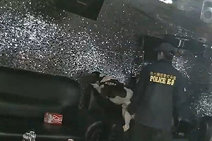 台南KTV專供移工開轟趴　警攻堅帶緝毒犬搜出毒品