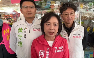 (影)國民黨三月底提名太晚？何欣純：盧秀燕個人的政治利益算計