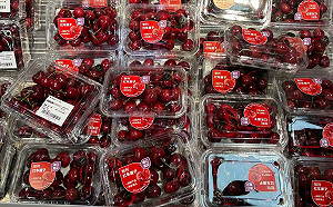 親中下場慘! 智利櫻桃被中狂砍價 過度依賴成雙重打擊 緊急改賣「這國」....