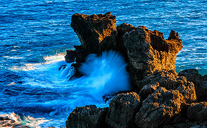 懶人包》賞花、看表演、逛市集！8大國家公園春節活動看這裡
