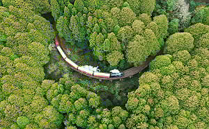 春遊嘉義首選！Taiwan PASS台灣燈會限定版2/14販售 交通景點門票全包