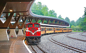 一票難求真相曝！阿里山林鐵8成訂位沒付錢  3/2起強制立即付款