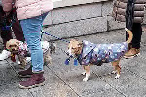 9場風暴襲擊　西班牙1月破25年來最多雨紀錄