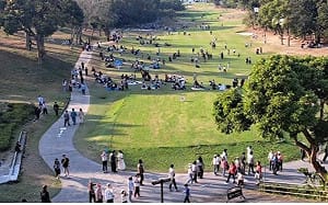 高雄「雙綠肺」春節吸客22萬    果嶺自然公園、澄清湖人氣超夯