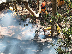 埔里森林7天燒29公頃獲控制　起火原因調查中